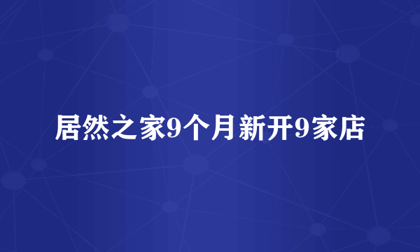 居然之家9个月新开9家店