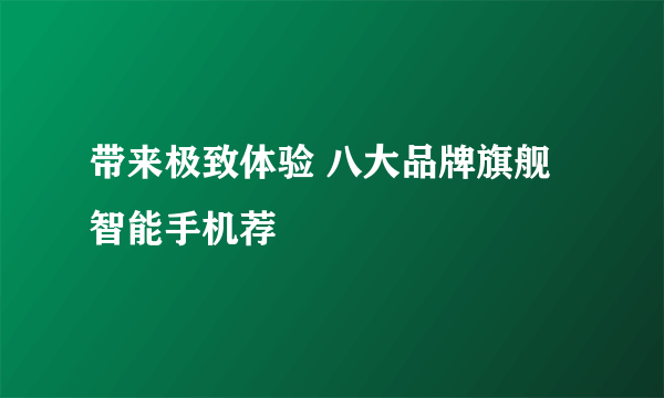 带来极致体验 八大品牌旗舰智能手机荐