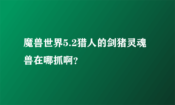 魔兽世界5.2猎人的剑猪灵魂兽在哪抓啊？