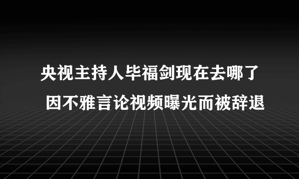 央视主持人毕福剑现在去哪了 因不雅言论视频曝光而被辞退