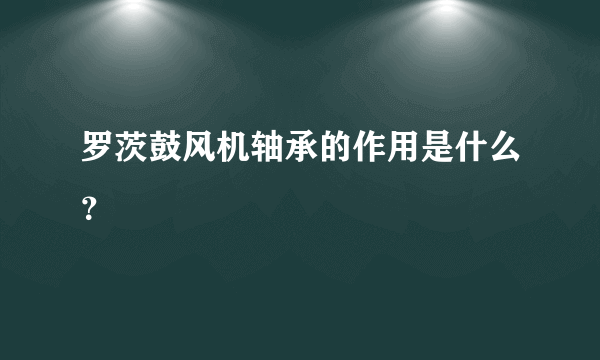 罗茨鼓风机轴承的作用是什么？