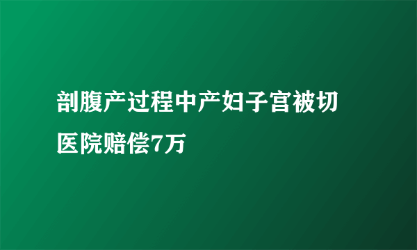 剖腹产过程中产妇子宫被切 医院赔偿7万