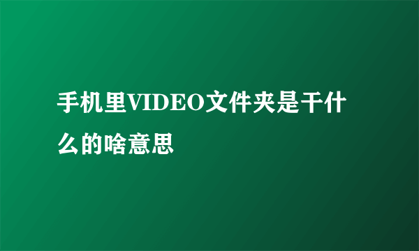 手机里VIDEO文件夹是干什么的啥意思