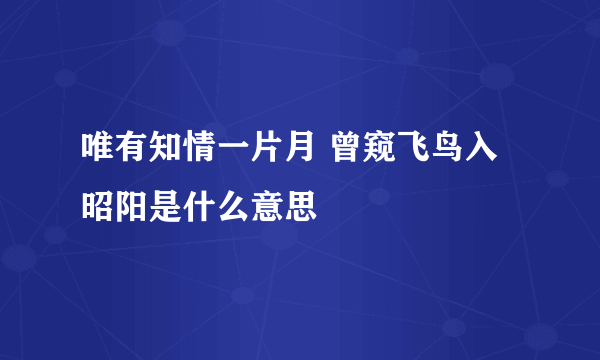 唯有知情一片月 曾窥飞鸟入昭阳是什么意思