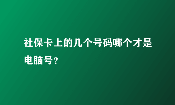 社保卡上的几个号码哪个才是电脑号？