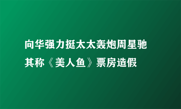 向华强力挺太太轰炮周星驰 其称《美人鱼》票房造假