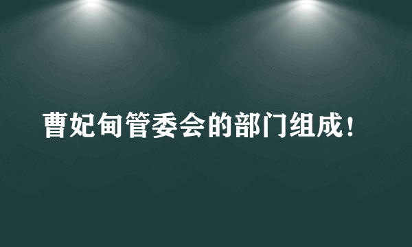 曹妃甸管委会的部门组成！