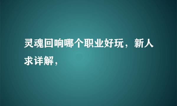 灵魂回响哪个职业好玩，新人求详解，