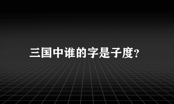 三国中谁的字是子度？