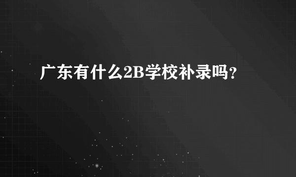 广东有什么2B学校补录吗？