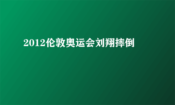 2012伦敦奥运会刘翔摔倒