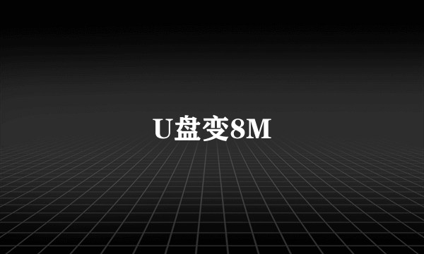 U盘变8M