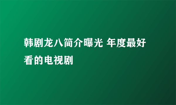 韩剧龙八简介曝光 年度最好看的电视剧