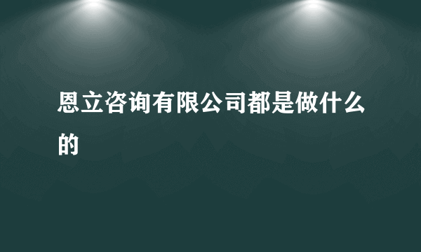 恩立咨询有限公司都是做什么的