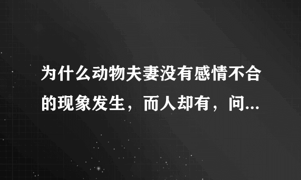 为什么动物夫妻没有感情不合的现象发生，而人却有，问题出再哪？