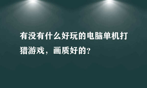 有没有什么好玩的电脑单机打猎游戏，画质好的？