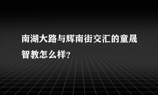 南湖大路与辉南街交汇的童晟智教怎么样？