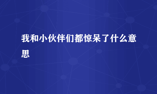 我和小伙伴们都惊呆了什么意思