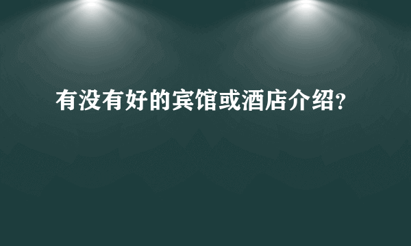 有没有好的宾馆或酒店介绍？