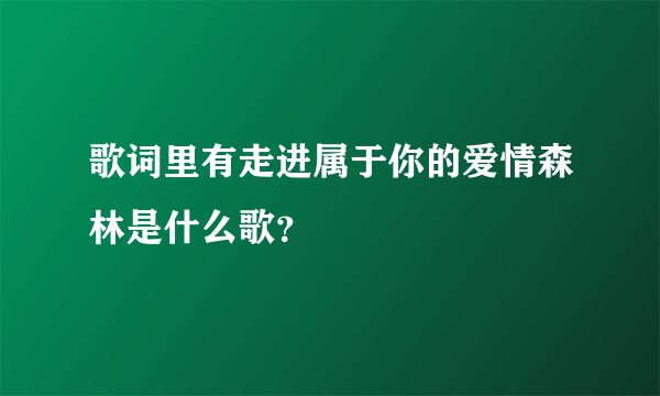 歌词里有走进属于你的爱情森林是什么歌？