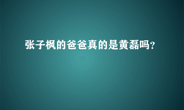 张子枫的爸爸真的是黄磊吗？