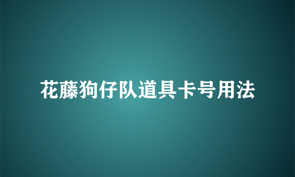 花藤狗仔队道具卡号用法