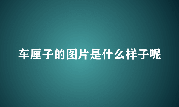 车厘子的图片是什么样子呢