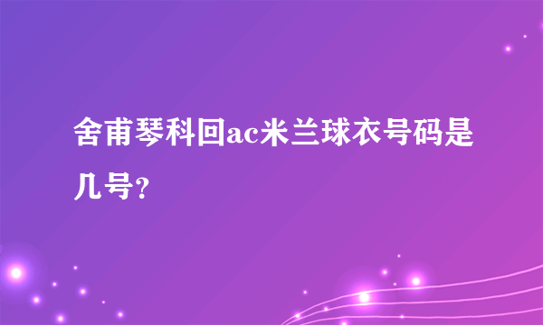 舍甫琴科回ac米兰球衣号码是几号？