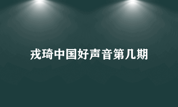 戎琦中国好声音第几期