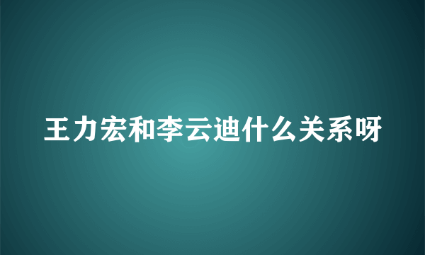 王力宏和李云迪什么关系呀