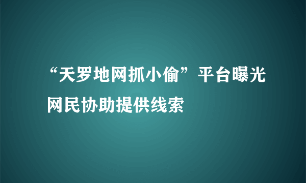 “天罗地网抓小偷”平台曝光 网民协助提供线索