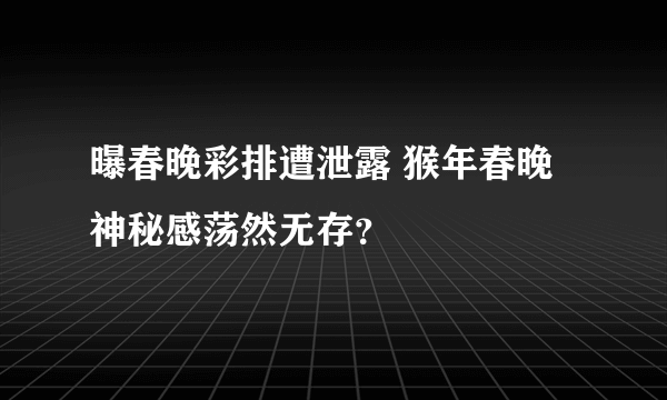 曝春晚彩排遭泄露 猴年春晚神秘感荡然无存？