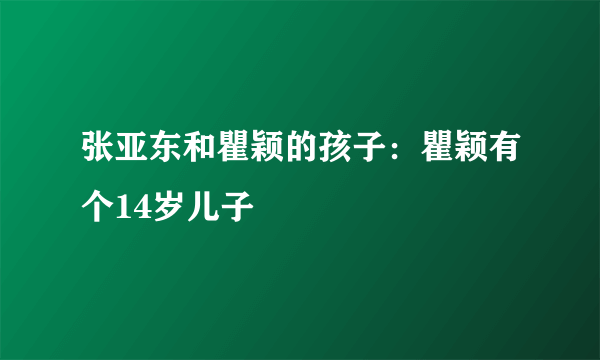 张亚东和瞿颖的孩子：瞿颖有个14岁儿子