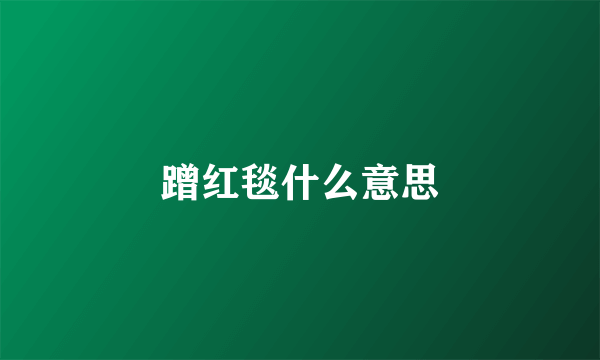 蹭红毯什么意思