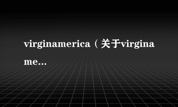 virginamerica（关于virginamerica的简介）