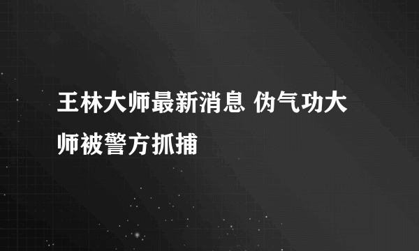 王林大师最新消息 伪气功大师被警方抓捕