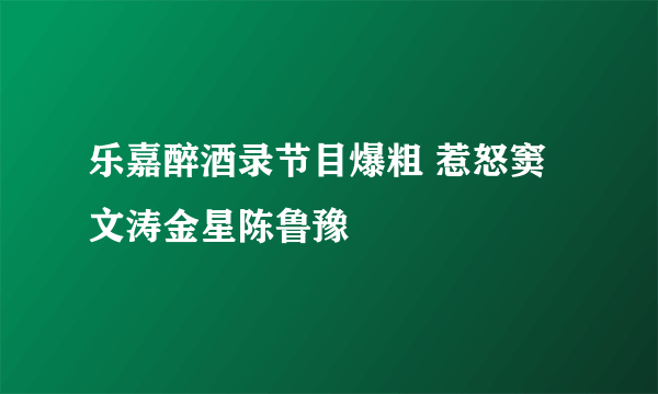 乐嘉醉酒录节目爆粗 惹怒窦文涛金星陈鲁豫