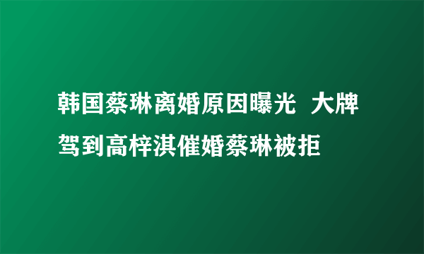 韩国蔡琳离婚原因曝光  大牌驾到高梓淇催婚蔡琳被拒