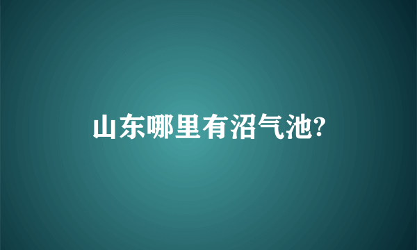 山东哪里有沼气池?