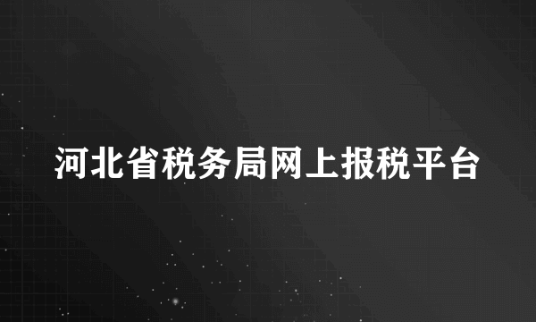 河北省税务局网上报税平台