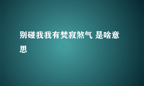 别碰我我有焚寂煞气 是啥意思