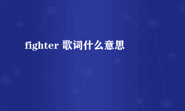 fighter 歌词什么意思