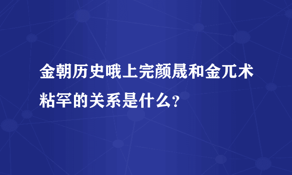 金朝历史哦上完颜晟和金兀术粘罕的关系是什么？