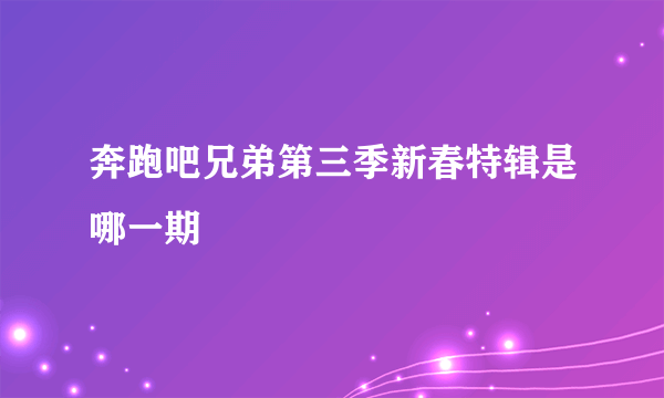 奔跑吧兄弟第三季新春特辑是哪一期