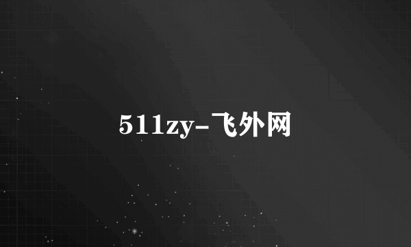 511zy-飞外网