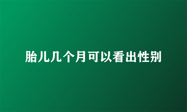 胎儿几个月可以看出性别