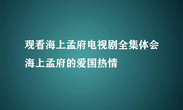 观看海上孟府电视剧全集体会海上孟府的爱国热情