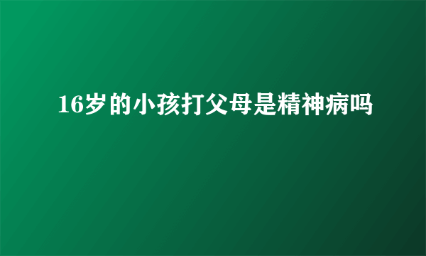 16岁的小孩打父母是精神病吗