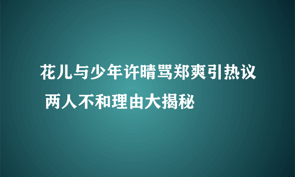 花儿与少年许晴骂郑爽引热议 两人不和理由大揭秘