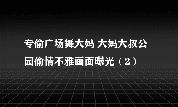 专偷广场舞大妈 大妈大叔公园偷情不雅画面曝光（2）